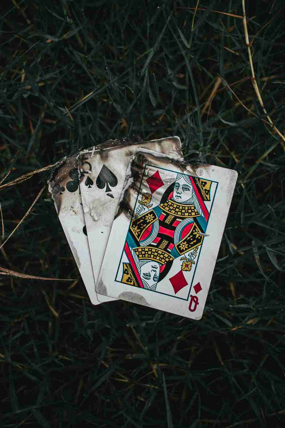 Ozwin casino login Ozwin casino login